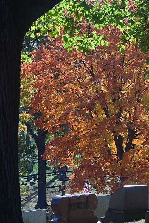 Fall colors