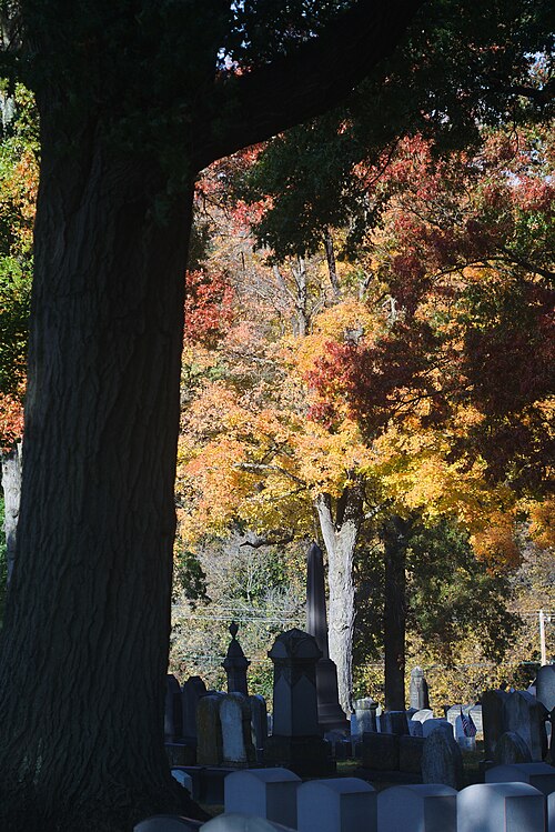 Fall colors